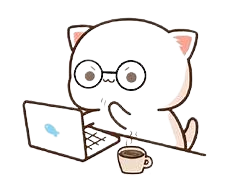 img-gato